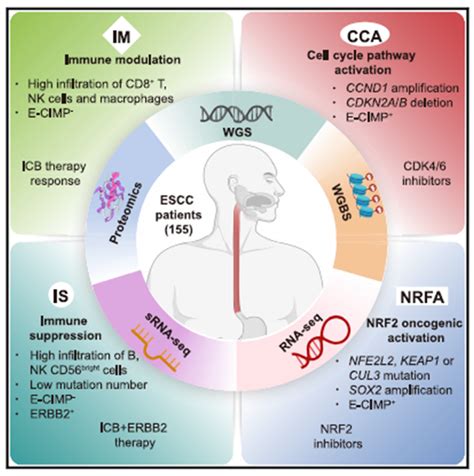 Cancer Cell 多团队合作斩获食管癌大样本量多组学分型成果 知乎