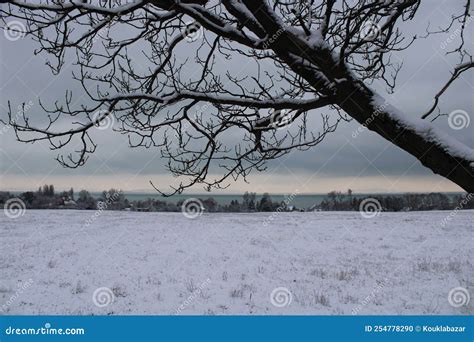 Beautiful of Lake Balaton at Winter Stock Photo - Image of calmness ...