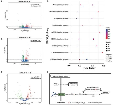 Frontiers Genome Wide Integrated Analysis Revealed Functions Of