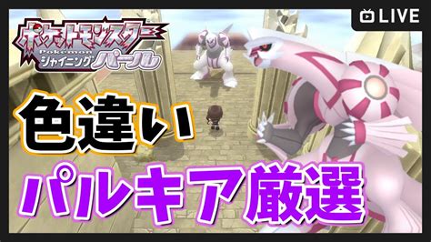 【ポケモンダイパリメイク】3000回～色違いパルキア厳選【bdsp】 ポケモン関連情報のまとめ動画