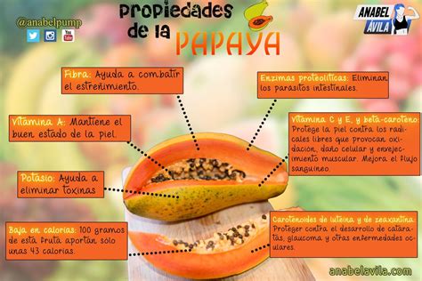 Conoces las propiedades de la Papaya Esta fruta que en España sale un