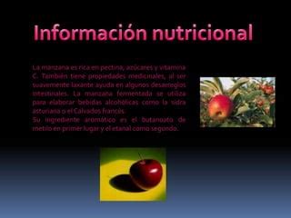 Manzana Y Sus Caracter Sticas Ppt