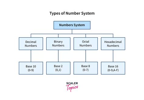 What Is Number System Scaler Blog