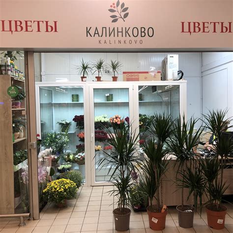 Питомник декоративных растений Калинково, г. Калининград - Home | Facebook