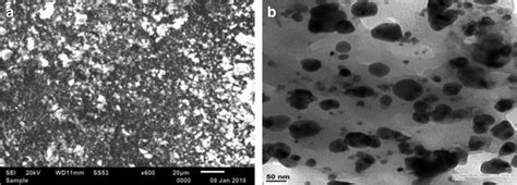 Scanning SEM And Transmission Electron Microscopy TEM Of AgNPs