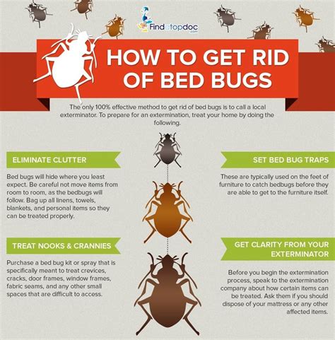 How Fast Can Bed Bugs Spread More Images For How Fast Can Bed Bugs