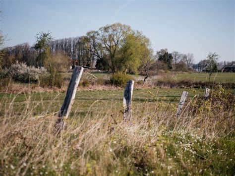 Wandern An Der Schlei Tourentipps Rund Um Den Ostseefjord Fr Ulein