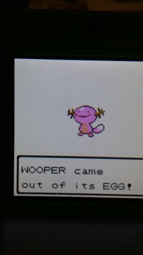 [2] Shiny Wooper : r/ShinyPokemon