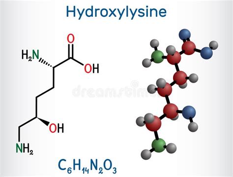 Hydroxylysine Hyl Molecule It Is Amino Acid Human Metabolite Stock