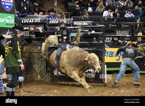 Top Pbr Bulls Becca Carmine