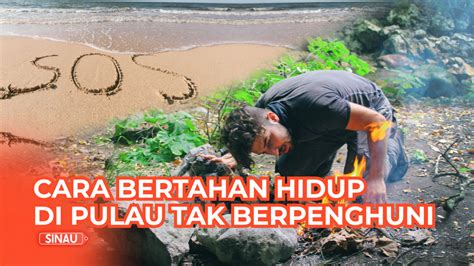 Tips Survival Lakukan Ini Jika Kamu Terdampar Di Pulau Tak Berpenghuni