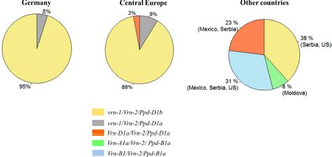 Frequency In The Percentage Of Allele Combinations Of VRN And PPD Genes