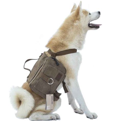 Выбираем рюкзак для собаки — Pet-Trips
