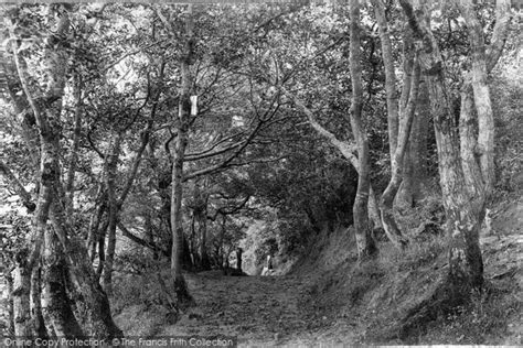 Photo Of Barnstaple Anchor Wood 1890 Francis Frith