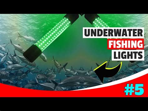 Best Portable Underwater Fishing Lights Shelly Lighting