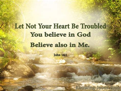 John 14 1 Let Not Your Heart Be Troubled Green