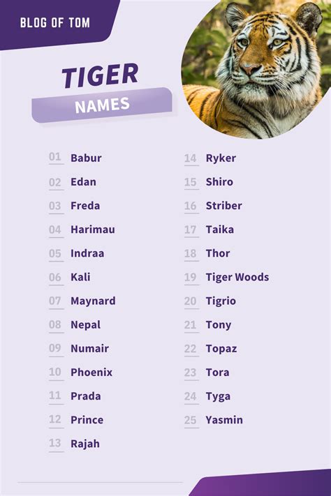 Tiger Names 999 Best Male And Female Naming Ideas Names Fantasy