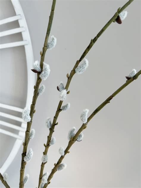 Faux Pussy Willow Stem Perfectly Lovely Interiors