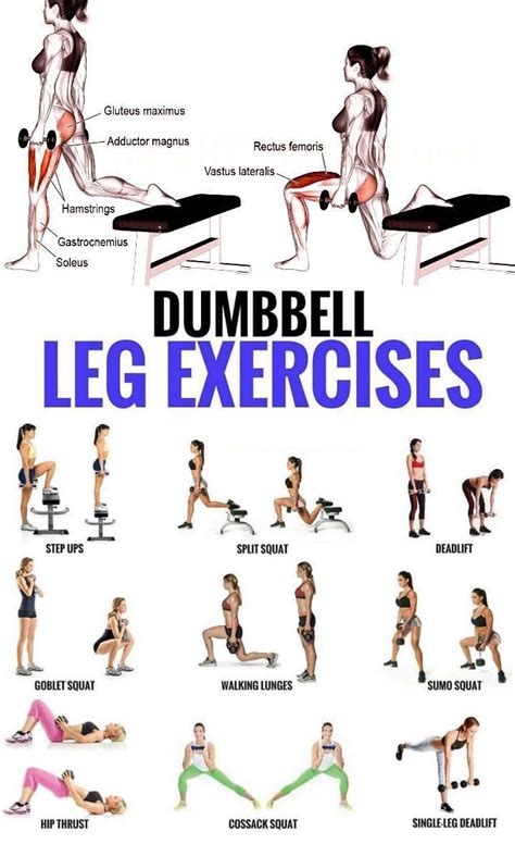 Building Leg Muscle At Home Building Leg Muscle At Home Dumbbell Leg Workout Leg Workouts