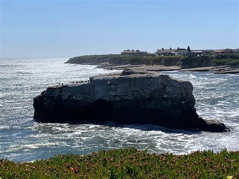 Natural Bridges State Beach Santa Cruz 2020 All You Need To Know