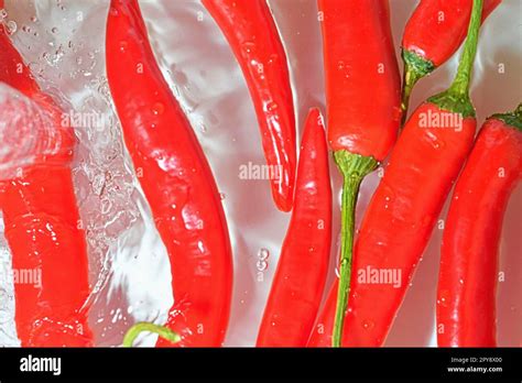 Close Up Of Red Chilli Peppers On White Background Chilli Peppers In