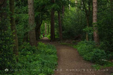 Brinscall Woods Hatch Brook Waterfall Walk