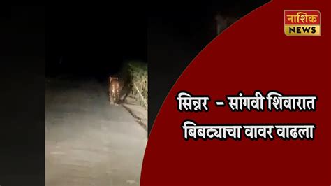 Nashik News सावधान जिल्हात ठिकठिकाणी बिबट्यांची दहशत Youtube