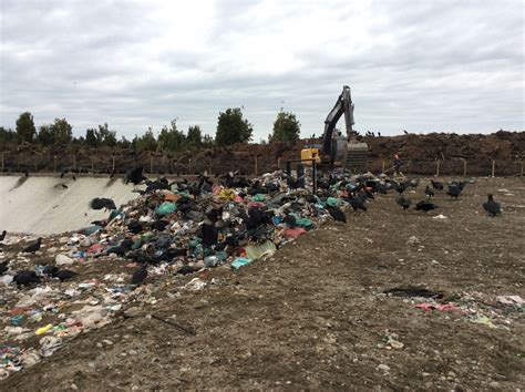 Regi N De Los Lagos Tercer Tribunal Ambiental Confirma Sanci N