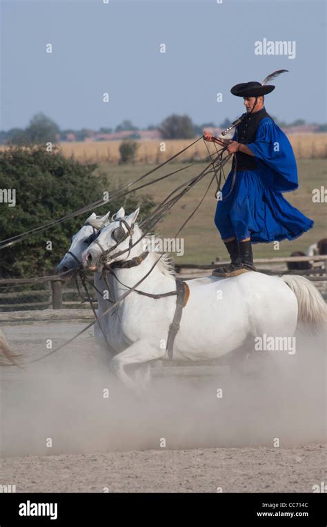 Hungarian Horse Riding Hi Res Stock Photography And Images Alamy