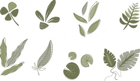 Premium Vector Vector Hand Drawn Leaves With Various Organic Shapes