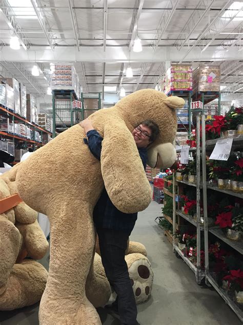 Costco Was Selling These Enormous Teddy Bears And At 66 I Felt