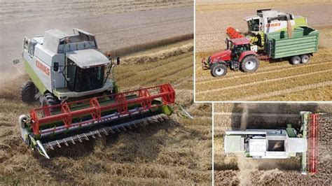 Gerste Dreschen Mit Dem Claas Lexion V Case Ih Cs