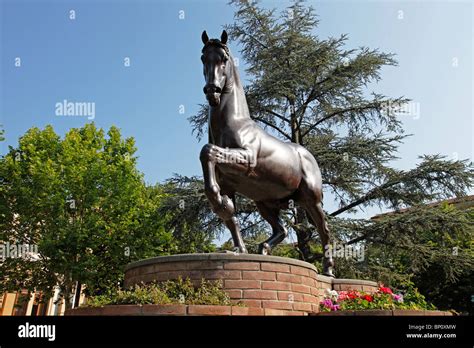 The Leonardo Da Vinci horse sculpture Vinci Tuscany Italy Stock Photo ...