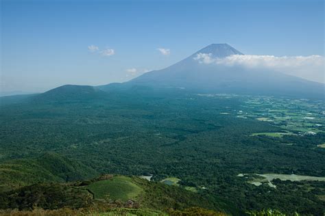 CONFESSIONS OF A FUNERAL DIRECTOR » The Suicide Forest in Japan