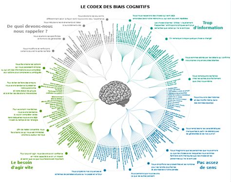 Panorama Des Biais Cognitifs Universityrh