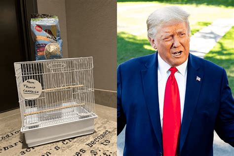 After Birdbrain Nickname Trump Camp Leaves Birdcage At Nikki Haleys