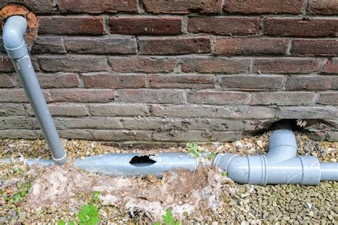 Understanding Trenchless Sewer Line Repair Benefits And Process