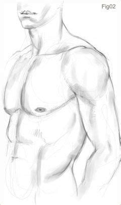 Рисование мужского торса Sketches Male sketch Art