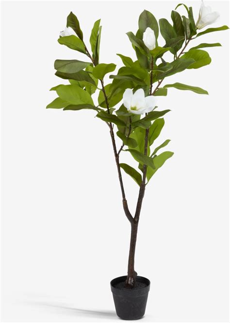 Umjetna Biljka Spindel V120cm Zelenabijela Magnolija Jysk