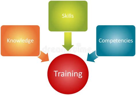 De Componenten Van De Bedrijfs Opleiding Diagram Stock Illustratie