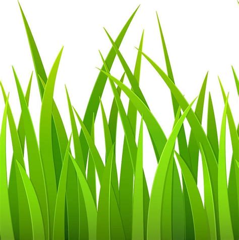 Digital Green Grass Border Svg Wild Herb Clip Art Png Etsy