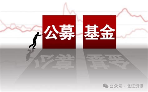 北交所年报披露步入高峰期，这些公司获机构投资者青睐！ 股份 公募基金 产品