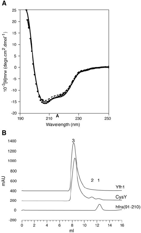 A Comparison Of The Far Ultraviolet UV CD Spectra Of CyaY Dotted