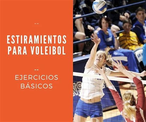 Los Mejores Ejercicios De Estiramiento Para Jugadores De Voleibol