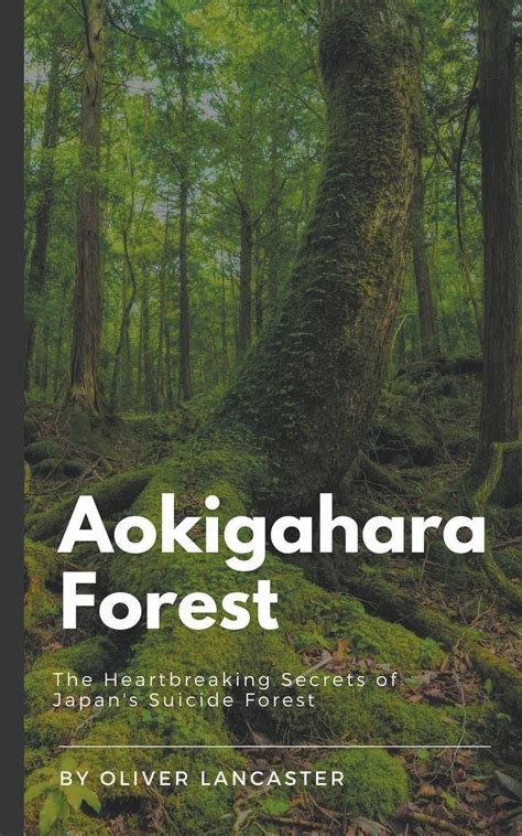 Aokigahara Forest The Heartbreaking Secrets Of Japan S Suicide Forest