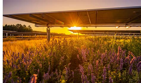 Parco Solare Storage Di Stockyard Stati Uniti Enel Green Power