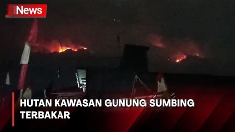 Awas Hutan Di Kawasan Gunung Sumbing Terbakar Penyebab Belum Diketahui