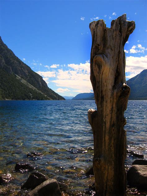 Free Images Landscape Sea Coast Tree Nature Rock Ocean