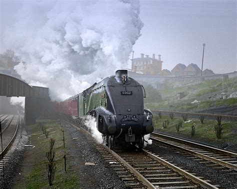 Lner A Wild Swan Holloway Bank Nd March Flickr