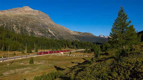 Abe Allegra Der Rhb Zwischen Bernina Suot Und Morteratsch